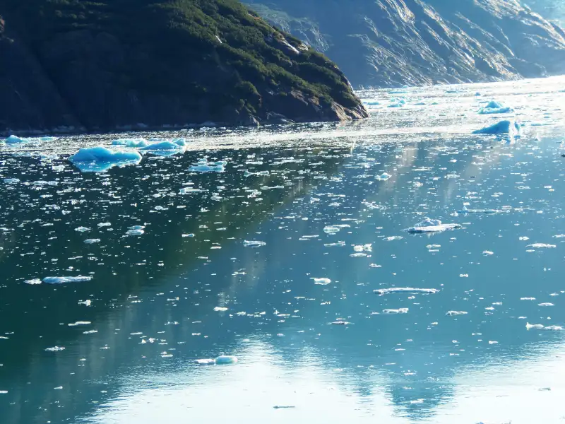 Glacier Bay Voyage